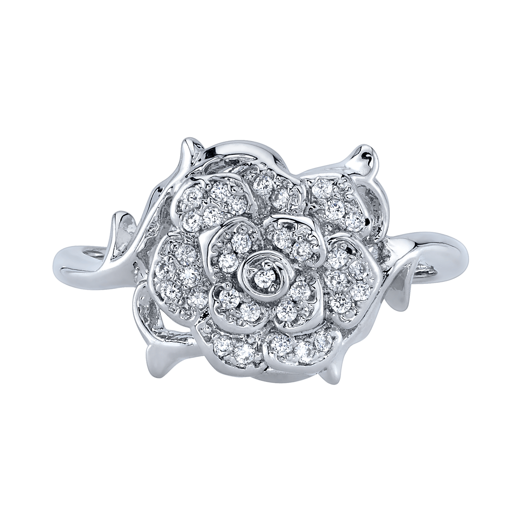 White Rose Ring